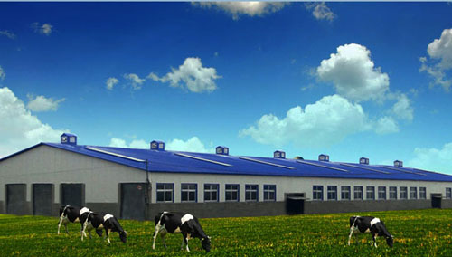 yl23455永利(集团)股份有限公司官网