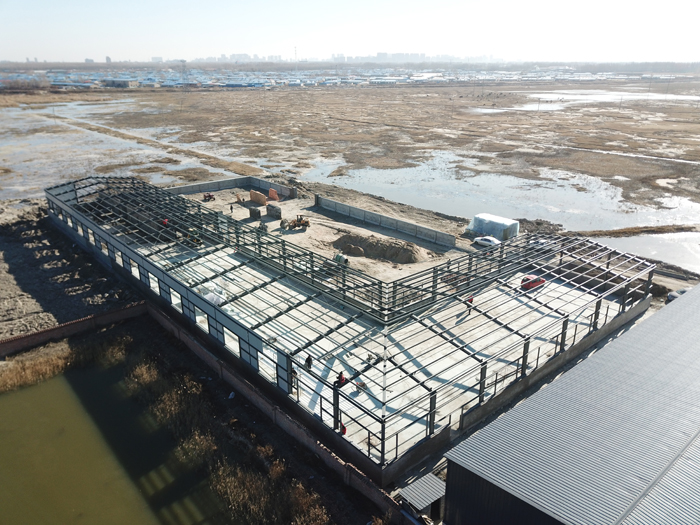 yl23455永利(集团)股份有限公司官网