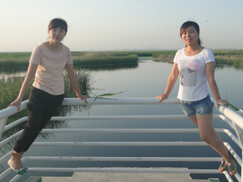 yl23455永利(集团)股份有限公司官网