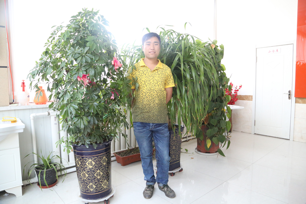 yl23455永利(集团)股份有限公司官网