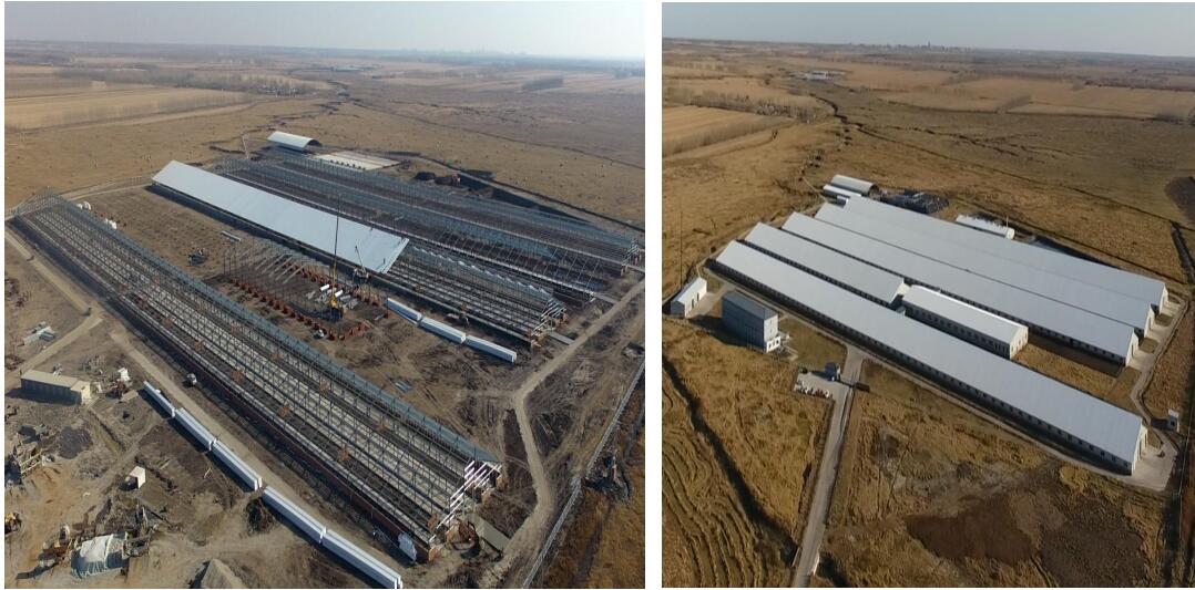 yl23455永利(集团)股份有限公司官网